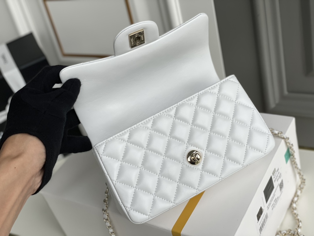 Chanel Top Handle Bags